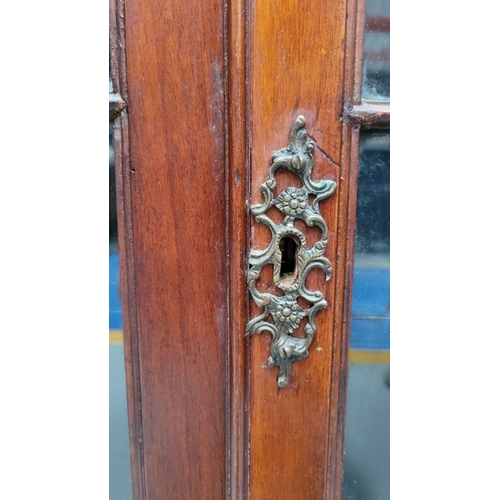 366 - A LARGE ASTRAGAL GLAZED 19TH CENTURY CORNER DISPLAY CABINET, with greek-key detail to the stepped pe... 