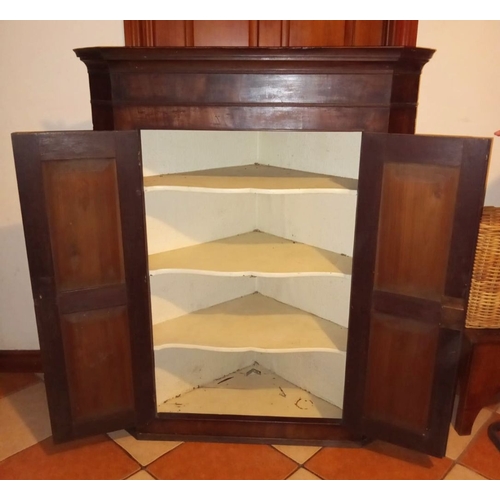 42 - A VERY GOOD GEORGE III MAHOGANY CORNER CABINET, with two panelled doors and shelved shelved interior... 