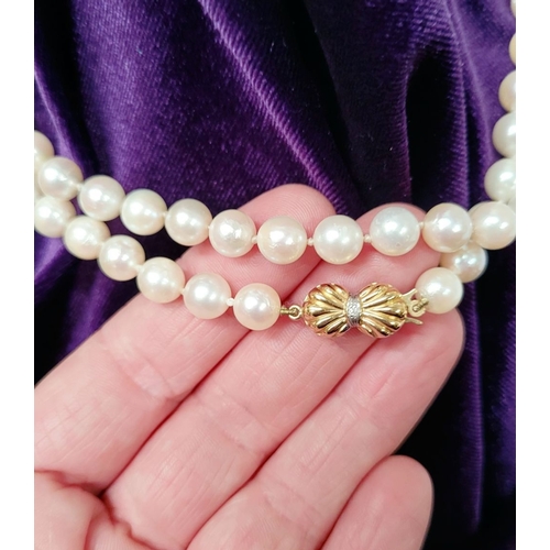 21 - A VERY FINE & RARE HAND KNOTTED PEARL NECKLACE WITH 9CT YELLOW GOLD & SOLITARE DIAMOND CLASP, the cl... 