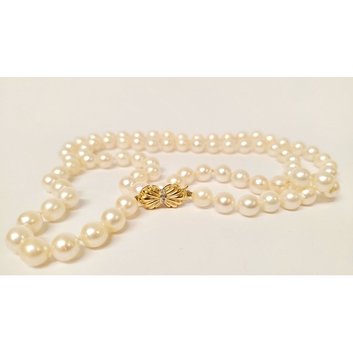 21 - A VERY FINE & RARE HAND KNOTTED PEARL NECKLACE WITH 9CT YELLOW GOLD & SOLITARE DIAMOND CLASP, the cl... 