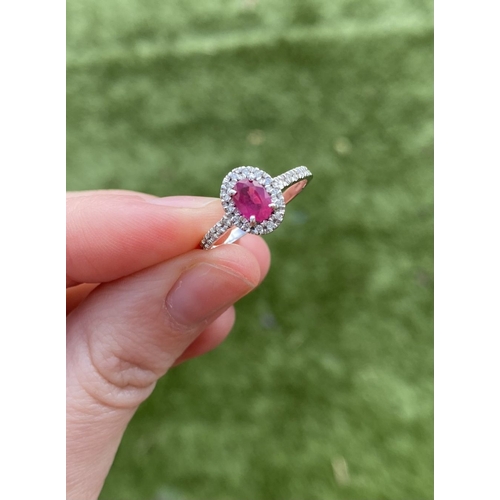 20 - A BEAUTIFUL 18CT WHITE GOLD RUBY AND DIAMOND HALO CLUSTER RING, with central oval cut ruby in four c... 