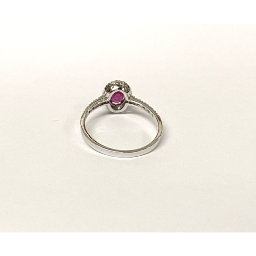 20 - A BEAUTIFUL 18CT WHITE GOLD RUBY AND DIAMOND HALO CLUSTER RING, with central oval cut ruby in four c... 