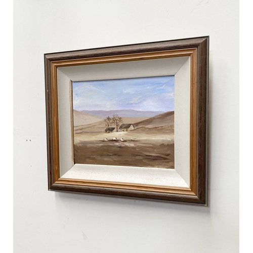 204 - IRISH SCHOOL, 20TH CENTURY, ‘LANDSCAPE WITH SHEEP’, oil on canvas, dimensions: 41cm x 46cm approx. f... 