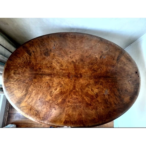 239 - A GOOD QUALITY ANTIQUE BURR WALNUT OVAL SHAPED TIP UP TABLE, raised on a turned column support with ... 