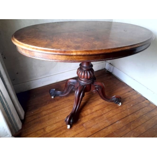 239 - A GOOD QUALITY ANTIQUE BURR WALNUT OVAL SHAPED TIP UP TABLE, raised on a turned column support with ... 