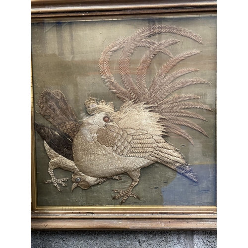 279 - AN ANTIQUE FRAMED NEEDLWORK OF ROOSTER, intricate needlework with beads to eyes. In hardwood frame.