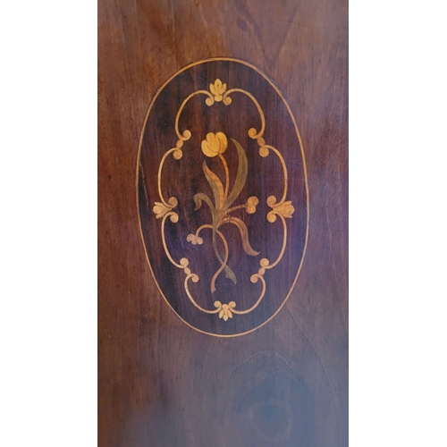 51 - A VERY GOOD QUALITY MAHOGANY & SATINWOOD INLAID EDWARDIAN CABINET, with raised gallery back having a... 