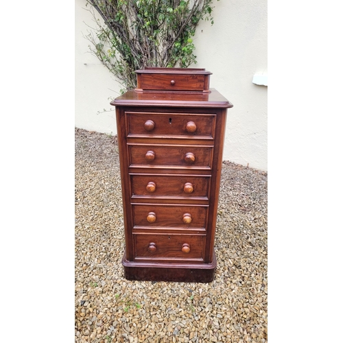 33 - A VERY GOOD PAIR OF 19TH CENTURY TALL CABINETS, each cabinet with a single back gallery drawer to th... 