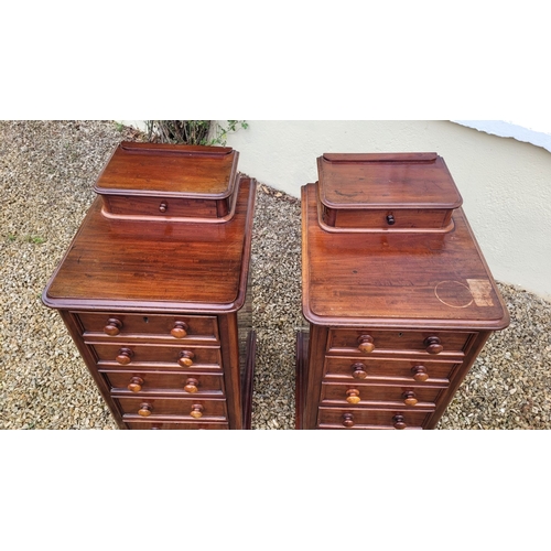 33 - A VERY GOOD PAIR OF 19TH CENTURY TALL CABINETS, each cabinet with a single back gallery drawer to th... 