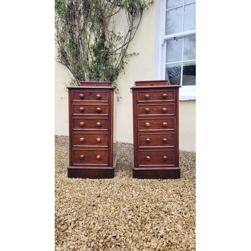 33 - A VERY GOOD PAIR OF 19TH CENTURY TALL CABINETS, each cabinet with a single back gallery drawer to th... 