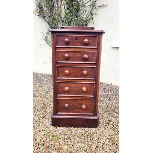 33 - A VERY GOOD PAIR OF 19TH CENTURY TALL CABINETS, each cabinet with a single back gallery drawer to th... 