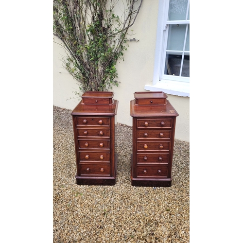 33 - A VERY GOOD PAIR OF 19TH CENTURY TALL CABINETS, each cabinet with a single back gallery drawer to th... 