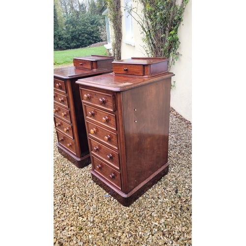 33 - A VERY GOOD PAIR OF 19TH CENTURY TALL CABINETS, each cabinet with a single back gallery drawer to th... 