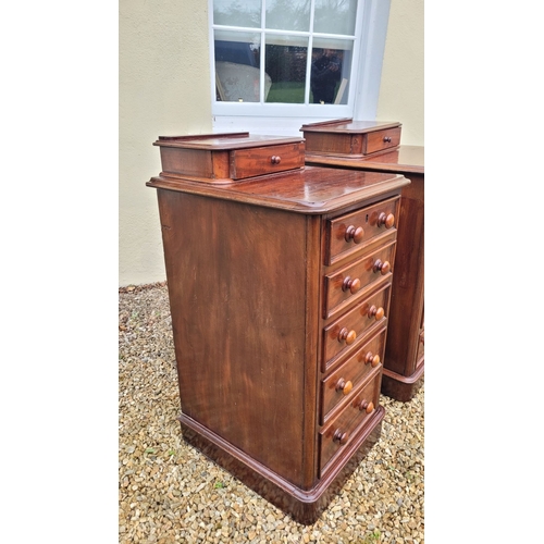 33 - A VERY GOOD PAIR OF 19TH CENTURY TALL CABINETS, each cabinet with a single back gallery drawer to th... 