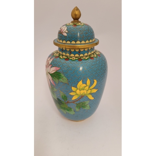 27 - A VERY GOOD VINTAGE LIDDED CLOISSONÉ JAR, decorated with beautiful floral & bird design, blue to the... 