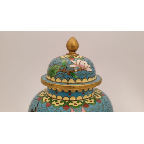 27 - A VERY GOOD VINTAGE LIDDED CLOISSONÉ JAR, decorated with beautiful floral & bird design, blue to the... 