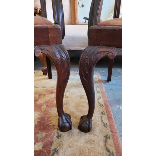 22 - A HANDSOME PAIR OF FINELY MADE CHIPPENDALE STYLE CARVER ARMCHAIRS, each with a shaped crest rail hav... 