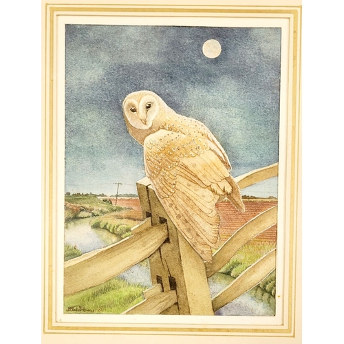 53 - DIANE STUCHBURY, (20TH CENTURY, IRISH), BARN OWL DISTURBED, gouache on paper, signed & dated lower l... 