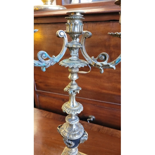 79 - A PAIR OF DECORATIVE BRASS GARNITURES – FOUR HEAD CANDELABRA, each with three outer candle holders a... 