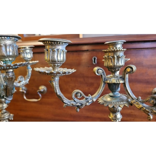 79 - A PAIR OF DECORATIVE BRASS GARNITURES – FOUR HEAD CANDELABRA, each with three outer candle holders a... 