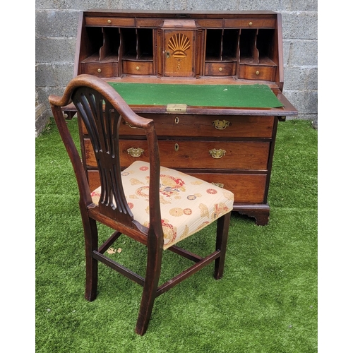 Lot 15        