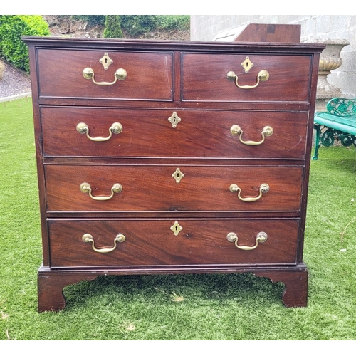 Lot 34        