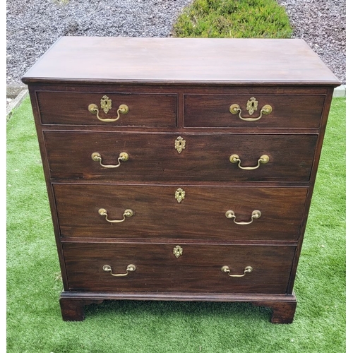 Lot 55        