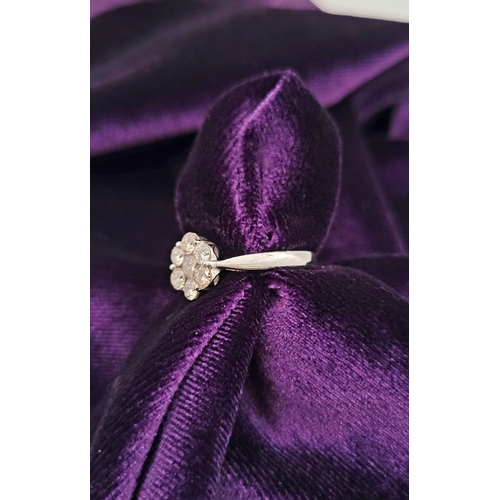 28 - A BEAUTIFUL 9CT WHITE GOLD DIAMOND CLUSTER RING, the setting in a floral arrangement with a central ... 