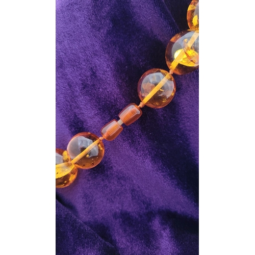 329 - A CHUNKY HONEY COLOURED AMBER NECKLET, with twist clasp. Nice warm honey colour from the beads.