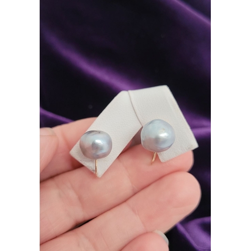 15 - A PAIR OF TWIST BACK 9CT YELLOW GOLD PEARL STUD EARRINGS, with a lovely natural silver-grey pearl to... 