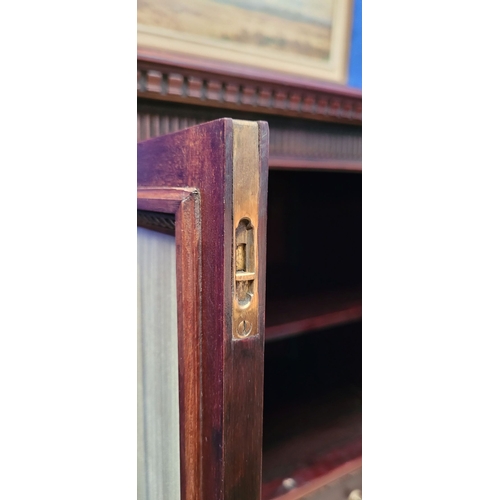 72 - A VERY FINE EDWARDIAN STONES PATENT GLAZED MUSIC CABINET,  with a double glazed cabinet door to the ... 