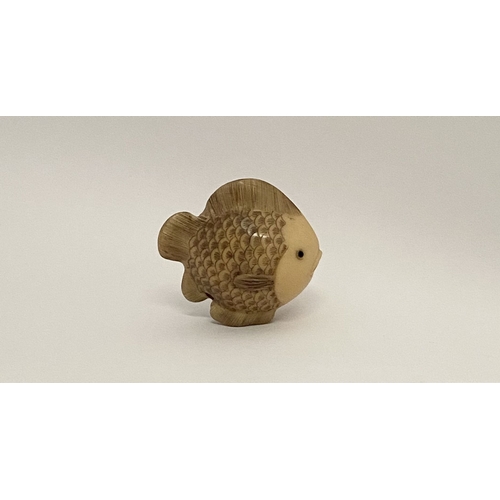 9 - AN ANTIQUE HAND CARVED JAPANESE TAGUA NUT NETSUKE, in the form of a fish, signed to side. Intricatel... 