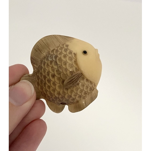 9 - AN ANTIQUE HAND CARVED JAPANESE TAGUA NUT NETSUKE, in the form of a fish, signed to side. Intricatel... 