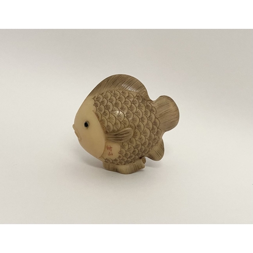 9 - AN ANTIQUE HAND CARVED JAPANESE TAGUA NUT NETSUKE, in the form of a fish, signed to side. Intricatel... 