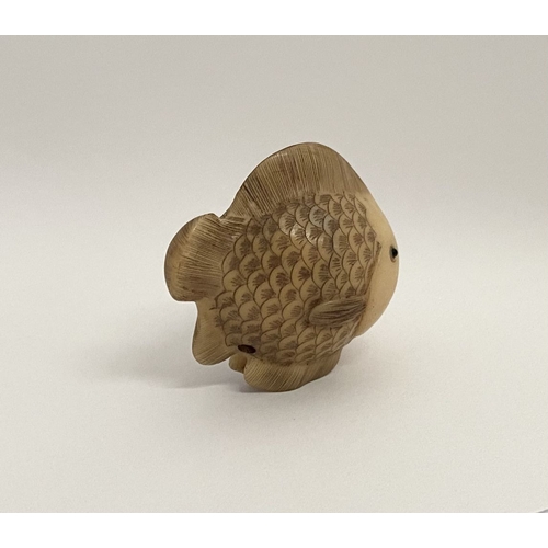 9 - AN ANTIQUE HAND CARVED JAPANESE TAGUA NUT NETSUKE, in the form of a fish, signed to side. Intricatel... 