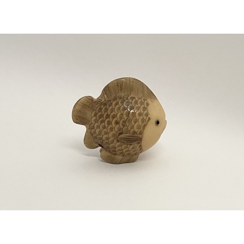 9 - AN ANTIQUE HAND CARVED JAPANESE TAGUA NUT NETSUKE, in the form of a fish, signed to side. Intricatel... 