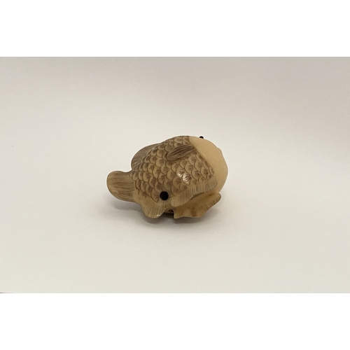 9 - AN ANTIQUE HAND CARVED JAPANESE TAGUA NUT NETSUKE, in the form of a fish, signed to side. Intricatel... 