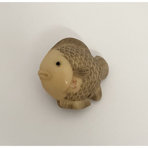 9 - AN ANTIQUE HAND CARVED JAPANESE TAGUA NUT NETSUKE, in the form of a fish, signed to side. Intricatel... 