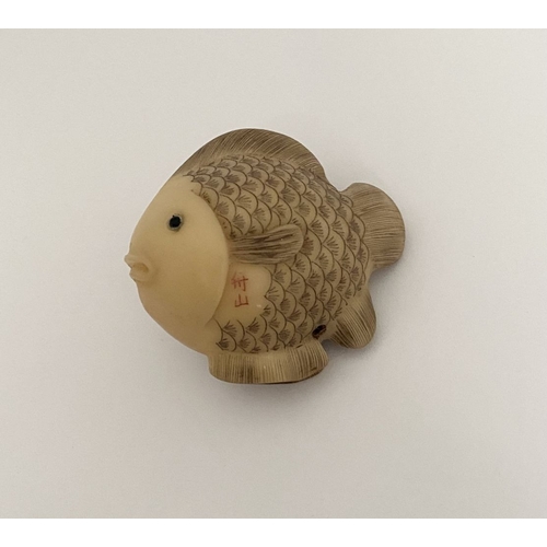 9 - AN ANTIQUE HAND CARVED JAPANESE TAGUA NUT NETSUKE, in the form of a fish, signed to side. Intricatel... 