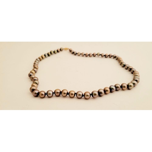 110 - A LOVELY STRING OF PEACOCK PEARLS, with a 10K gold clasp, hand knotted string. 50cm long open. Ideal... 