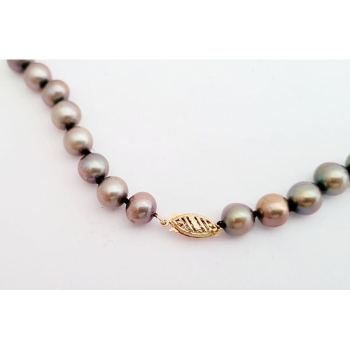 110 - A LOVELY STRING OF PEACOCK PEARLS, with a 10K gold clasp, hand knotted string. 50cm long open. Ideal... 