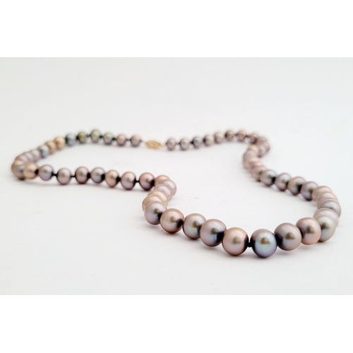 110 - A LOVELY STRING OF PEACOCK PEARLS, with a 10K gold clasp, hand knotted string. 50cm long open. Ideal... 