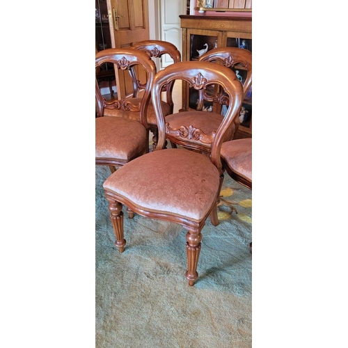 131 - A SET OF SIX VERY GOOD CLOVER SHAPED BALLOON BACKED DINING ROOM CHAIRS, each with a curved back deco... 