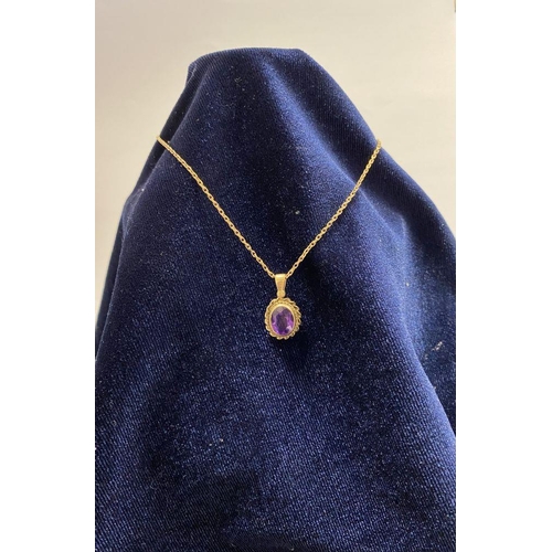 154 - A 9CT YELLOW GOLD AMETHYST PENDANT NECKLACE, with oval cut amethyst within double rope bordered 9ct ... 