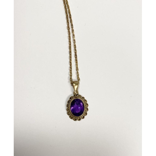 154 - A 9CT YELLOW GOLD AMETHYST PENDANT NECKLACE, with oval cut amethyst within double rope bordered 9ct ... 