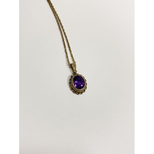 154 - A 9CT YELLOW GOLD AMETHYST PENDANT NECKLACE, with oval cut amethyst within double rope bordered 9ct ... 