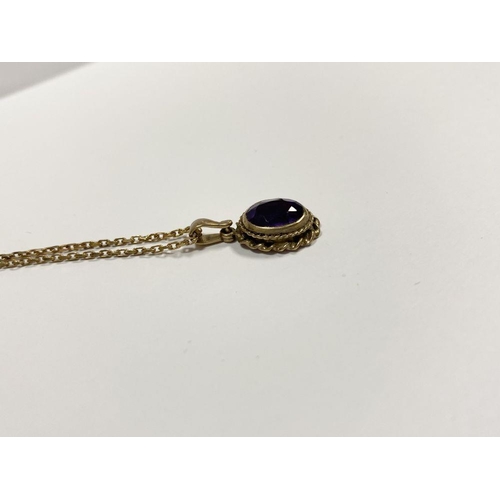 154 - A 9CT YELLOW GOLD AMETHYST PENDANT NECKLACE, with oval cut amethyst within double rope bordered 9ct ... 