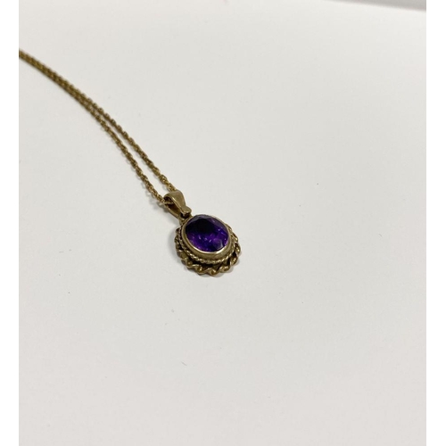 154 - A 9CT YELLOW GOLD AMETHYST PENDANT NECKLACE, with oval cut amethyst within double rope bordered 9ct ... 