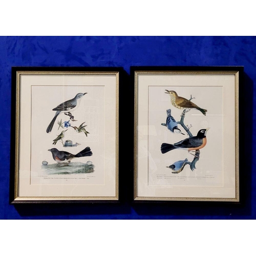 193 - A PAIR OF FRAMED PRINTS: AFTER ALEXANDER WILSON / W. H. LIZARS, reproduction prints taken from the o... 