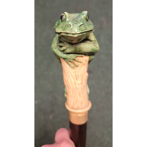 251 - A WHIMSICAL GREEN FROG HANDLED WALKING CANE / STICK, the stick features a hand-coloured green frog p... 